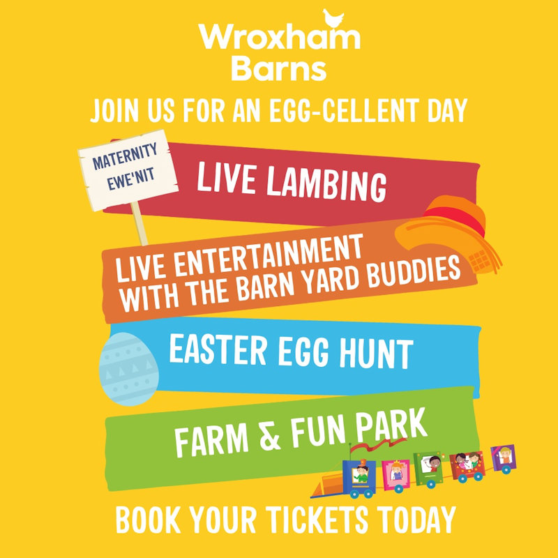 Wroxham Barns Spring Fling, Wroxham Barns, Tunstead Road, Hoveton, Norfolk, NR12 8QU | Join us for an EGG-cellent day out during the Easter hols! | Easter, family fun, egg hunt, lambing, lambs, farm, Easter egg