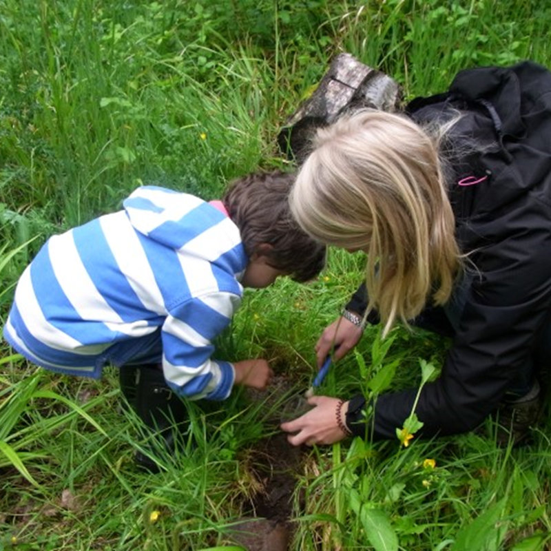 Miraculous Minibeasts, NWT Thorpe Marshes Nature Reserve
Whitlingham Lane
Norwich
NR7 0QA | Family event | Minibeasts, camouflage, woodland, carnivore, herbivore, ancient woodland, Norfolk woods