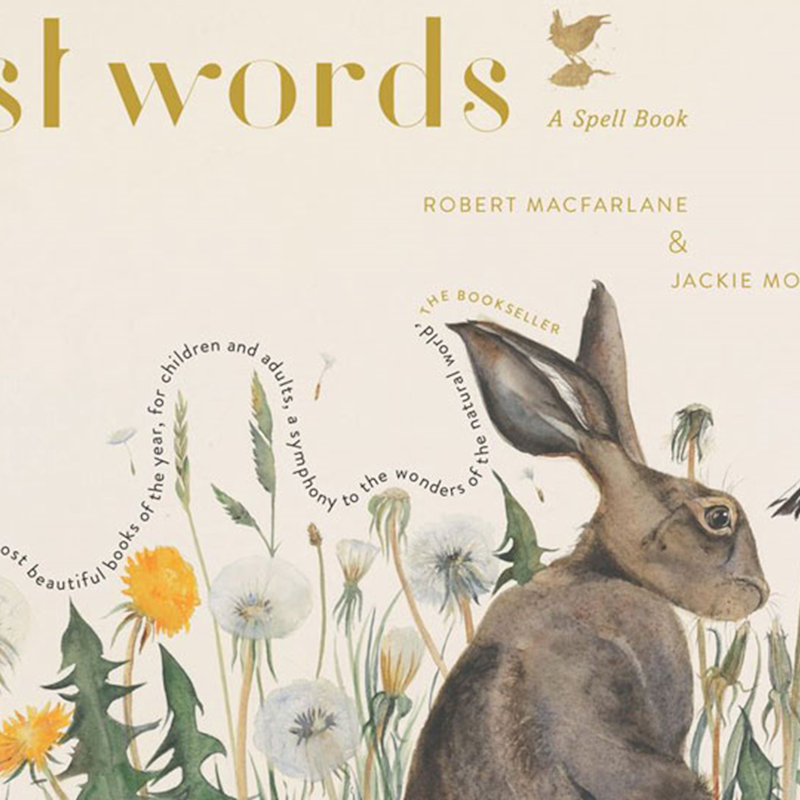 Wildlife Words and Wild Art, NWT Hickling Broad
Stubb Road
Hickling
NR12 0BW
 | Family event | Nature, outdoors, art, poetry, Norfolk Broads