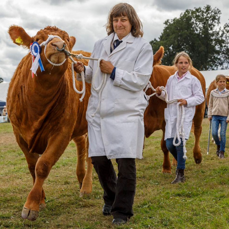 Aylsham Show, Blickling Hall, Blickling, Norfolk, NR11 6NF | Enjoy the family fun, entertainment, food, livestock and farming, and the trade and market lane stands for a great family day out. | aylsham, show, agriculture, national, trust, blickling, park, animals, livestock, competitions, local, producers, food, drink, farming, fun, norfolk, broadland, north