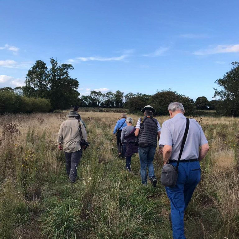 Big Picture Nature Tour | April | Wild Ken Hill