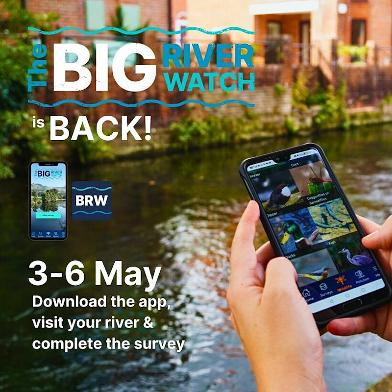 Big River Watch | May | Any river in the UK