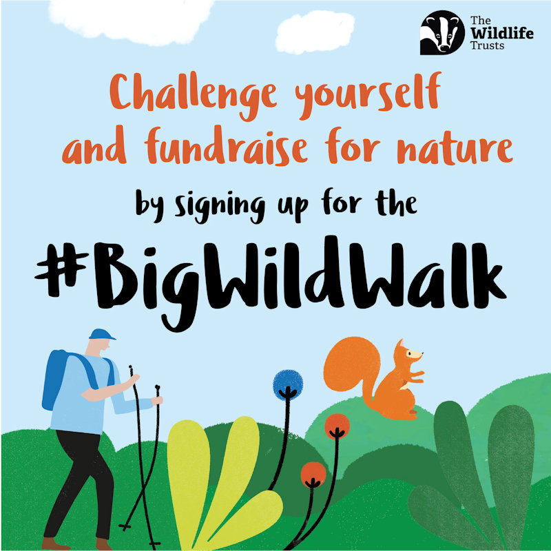 Big Wild Walk, Where ever you choose to walk, hike, cycle or swim | Challenge yourself to explore the nature on your doorstep or expand your horizons to discover the natural world around you. All while raising funds to protect wildlife.  | big, wild, walk, hike, cycle, swim, nature, wildlife