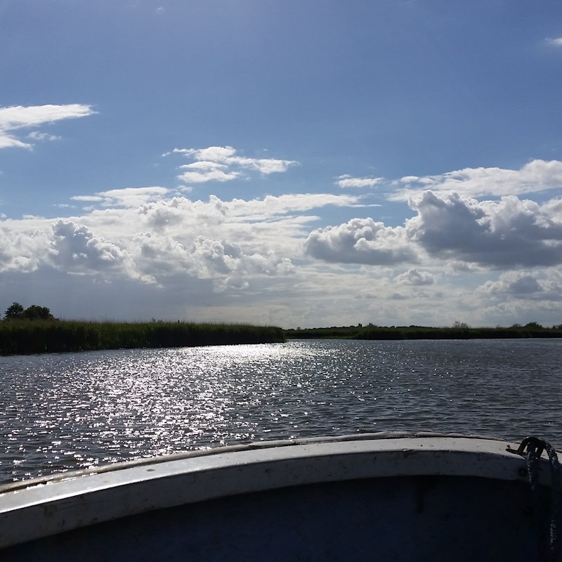 NWT Children's Wildlife Watch - Boats on the Broad, NWT Hickling BroadStubb RoadHicklingNR12 0BW | What better way to see the broads than on a boat?  | Boat trip, nature, wildlife, Norfolk Broads