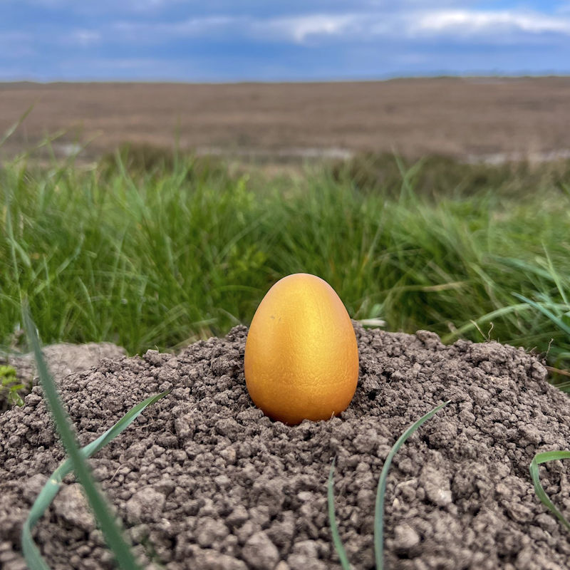 Brancaster Staithe Easter Egg Hunt, The White Horse, Main Road, Brancaster Staithe, Norfolk, PE31 8BY | 50 golden eggs will be placed on the coastal path tomorrow (Tuesday) morning! Ready to be hunted at 12 midday. | brancaster, staithe, easter, egg, hunt, norfolk, coast, north, charity