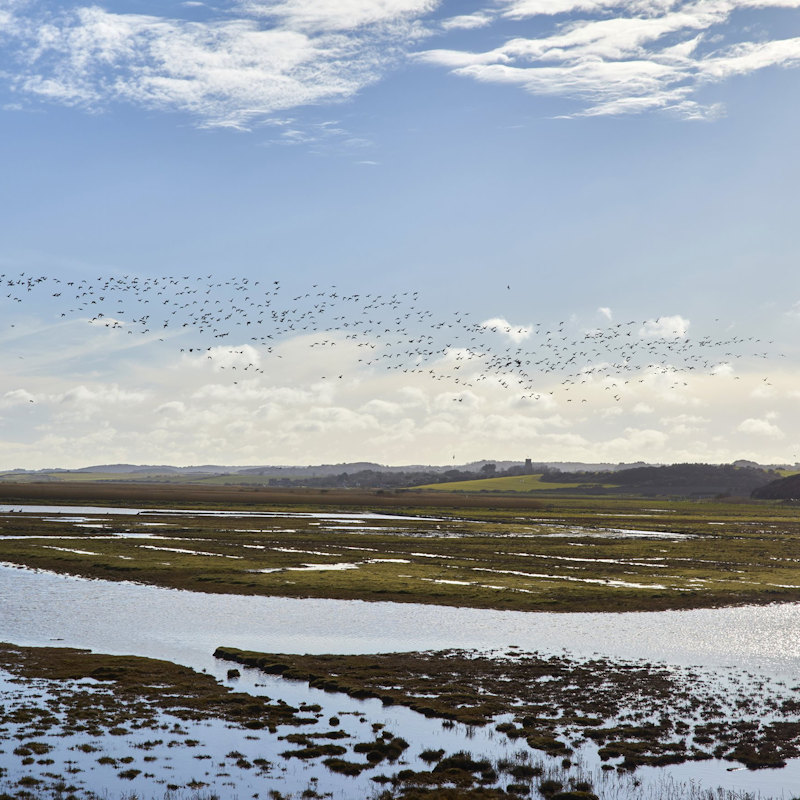 Brew With a View, NWT Cley Marshes NR25 7SA | Take a social wander around the reserve with a focus on enjoying the outdoors with both friends and strangers.  | Walking, social, wildlife, hot drinks