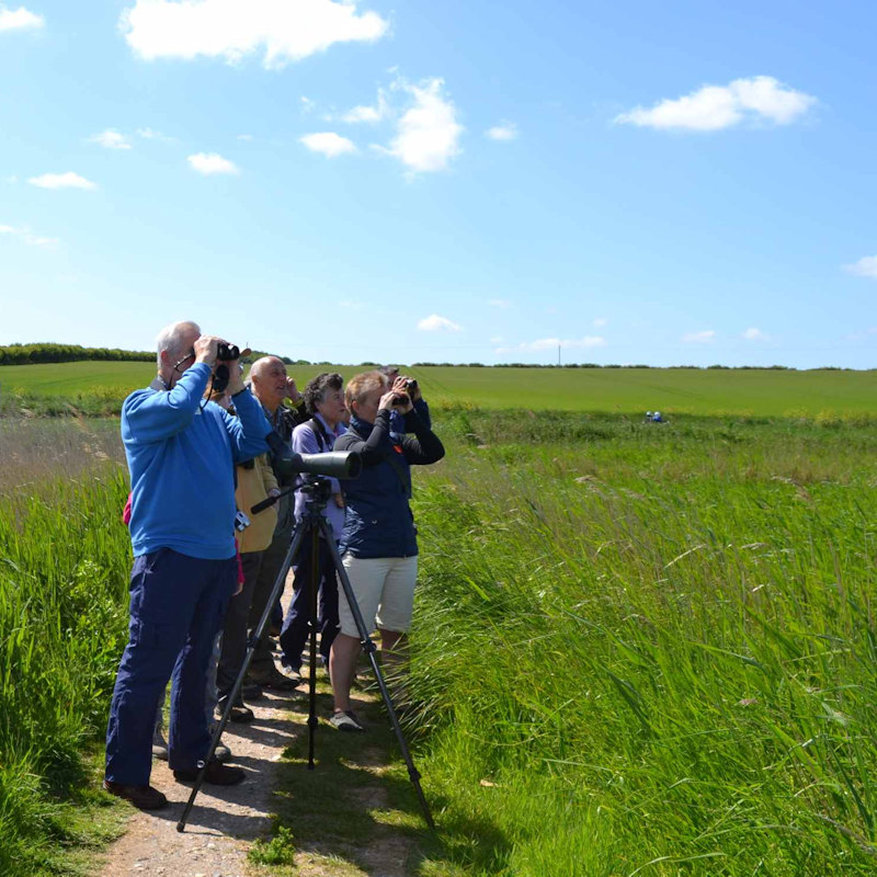 Circuit of Cley, NWT Cley Marshes NR25 7SA | A guided circuit walk around the reserve and along the shingle ridge  | Walking, guided, wildlife