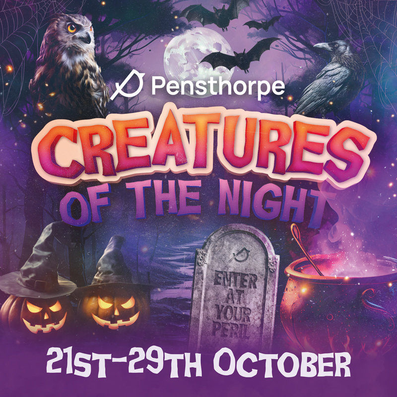 Creatures Of The Night Halloween Event, Pensthorpe, Pensthorpe Road, Fakenham, Norfolk, NR21 0LN | Join us for a hair-raising Halloween this October half term with two terrifying trails offering a ghoulish abundance of fun; pumpkin carving, and Halloween themed craft activities! | halloween, halloween events, pumpkins, pumpkin carving, creatures of the night, halloween trails, kids events, family days out, October half term