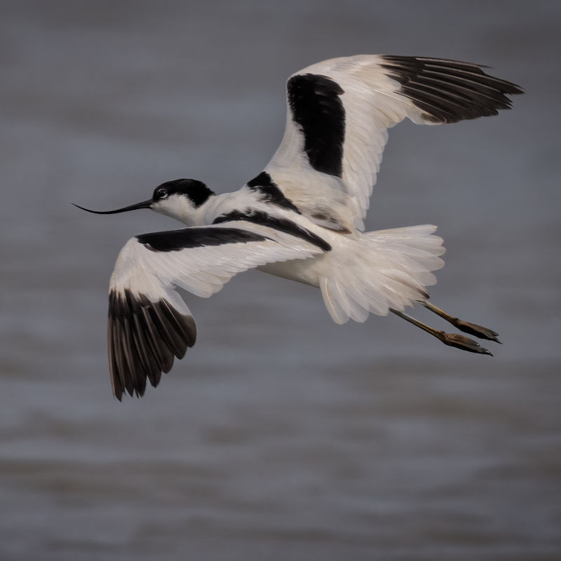 Digital Editing (Photography) Workshop | March | RSPB Titchwell Marsh