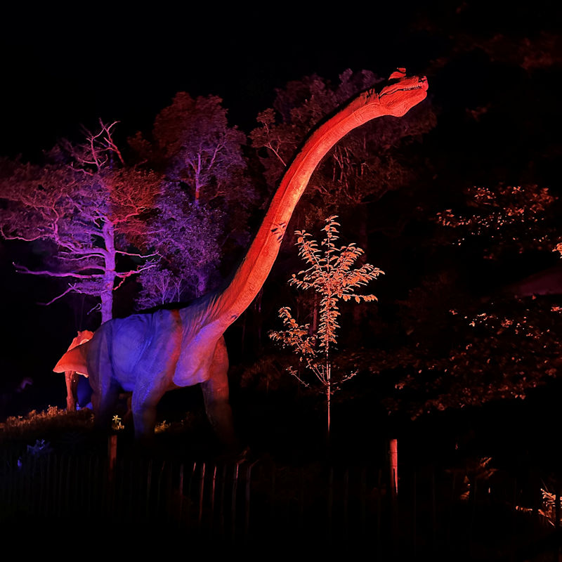Dinos at Night, ROARR!, Lenwade, Norfolk, NG9 5JE | Are you ready for our annual award-winning event, Dinos at Night? Visit the Park on Saturday 29th June 2024 and discover some wild nightlife at ROARR! | evening opening, days out with the kids, things to do in norwich