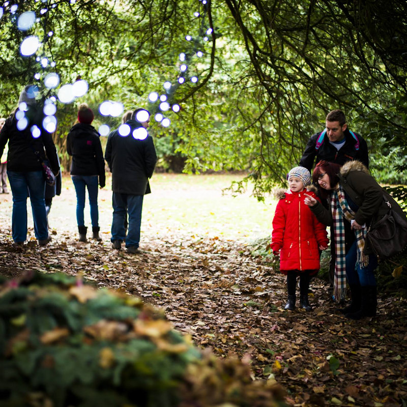 Enchanted Felbrigg, Felbrigg, Norwich, Norfolk, NR11 8PR | Join the National Trust for an outdoor seasonal experience for all the family to enjoy. | national, trust, felbrigg, hall, enchanted