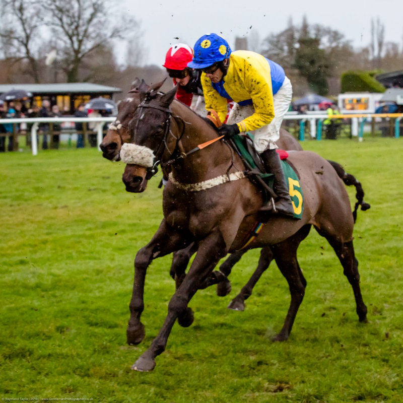 Fakenham Races, The Racecourse, Fakenham, Norfolk, NR21 7NA | Spend your Friday enjoying a day out at Fakenham Races! | fakenham, races, horse, racing, north, norfolk, ladies, day, racecourse
