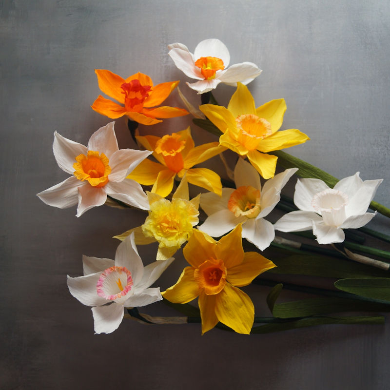 Floragami Paper Daffodil Workshop | March | Holkham Park