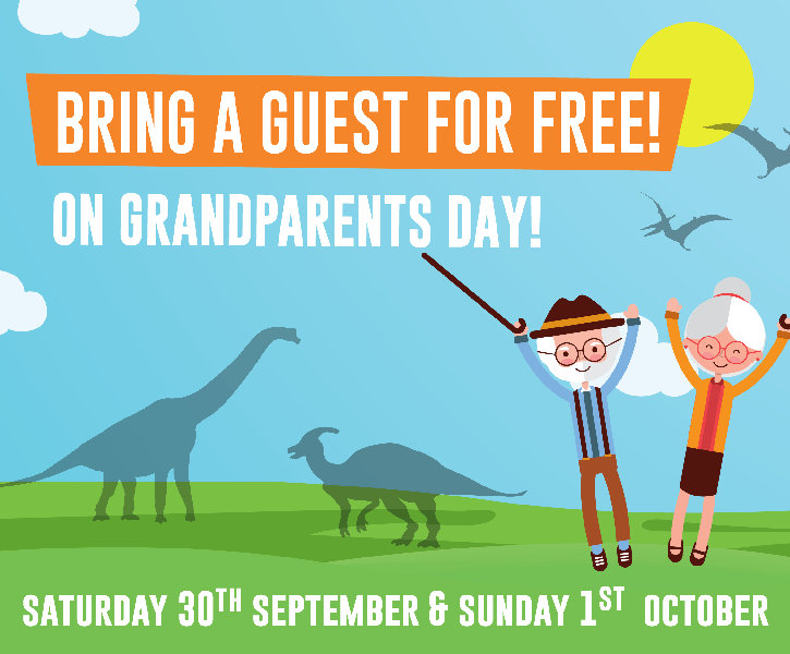 Grandparents Day at ROARR!, ROARR!, Lenwade, Norfolk, NR9 5JE | Come and release your adventure with our ROARR-some Grandparents Day offer. | Grandparents, Offer, ROARR, Dinosaur, Adventure, Explore, Park, Norfolk