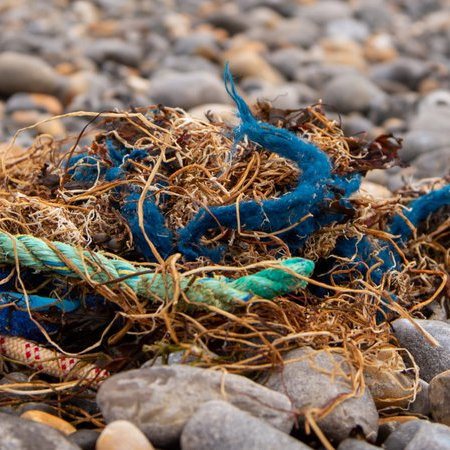 Great British Beach Clean, Beaches, Norfolk, Norfolk, adfafd | The Great British Beach Clean is a week-long citizen science event, where hundreds of beach cleans take place up and down the UK. | great, british, beach, clean, 