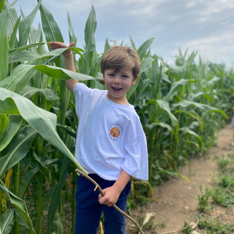 Maize Maze at The Pumpkin House, The Pumpkin House, Brookhill Farm, Fakenham Road, Thursford, Norfolk, NR210BD | Come and explore the Tractor Shaped Maize Maze  | Family , Summer Holidays, Countryside