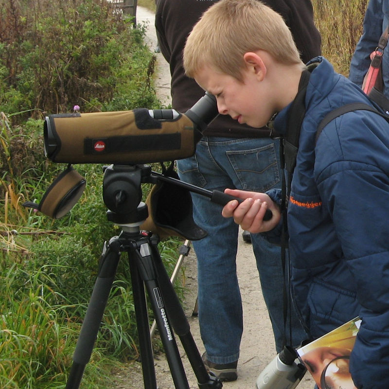 New Year's Day Birding Booster, RSPB Titchwell Marsh, Main Road, Titchwell, Norfolk, PE31 8BB | Get your birding ticklist off to the best start in the company of an expert birder! | Birdwatching, New Year, Checklist, Guided walk