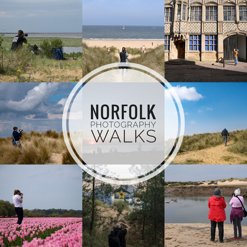 Norfolk Photography Walks - Pensthorpe | May | Pensthorpe Natural Park, Pensthorpe, Norfolk, NR21 0LN