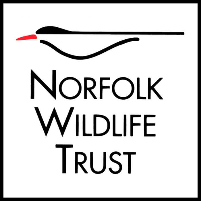 Bones and body bits, NWT Hickling Broad
Stubb Road
Hickling
NR12 0BW
 | Family event | Nature, tracks and trails, wildlife, owls, Norfolk Broads