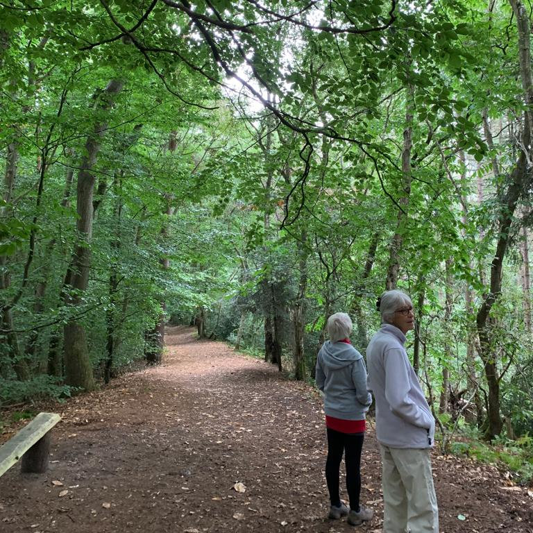 North Norfolk Walking Festival , North Norfolk Outdoor Fitness, Sheringham , Norfolk, NR26 8NY | Come and enjoy North Norfolk with some amazing guided walks | Walking, North Norfolk, Holiday, Festival, Outdoor nature 