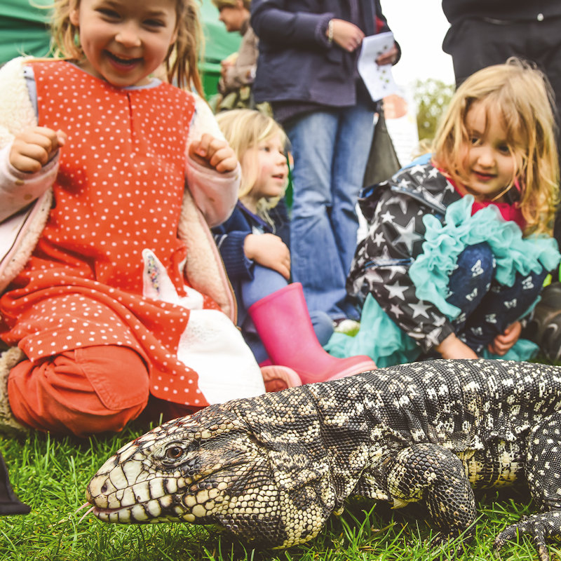 Not So Creepy Crawlies � October Half Term, The Walled Garden, Holkham Hall, Wells-next-the-Sea, Norfolk, NR23 1AB | Be careful where you step! We've invited some not so creepy crawlies to Holkham this October half term! | holkham, creepy, crawlies