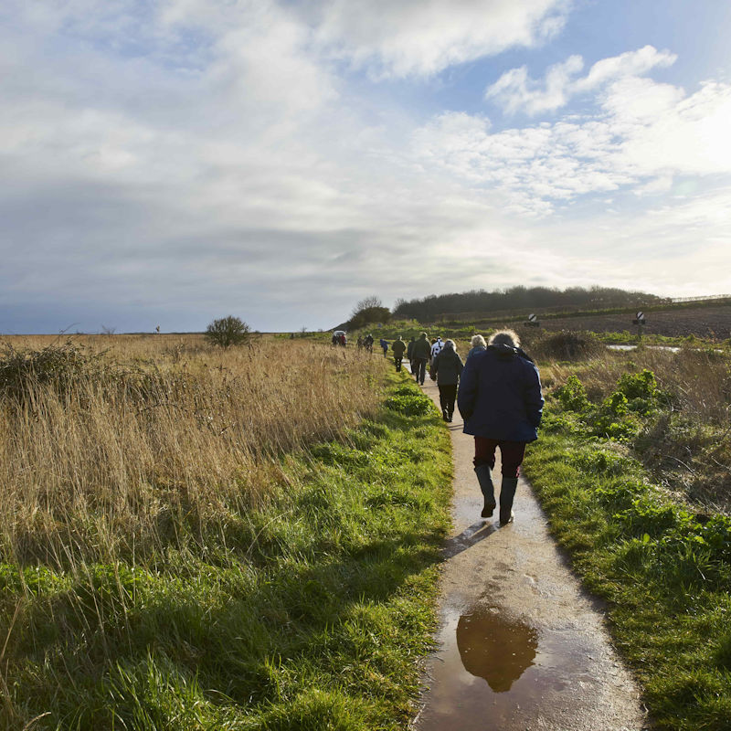 NWT Cley - A Life in Cley, A Tour | March | Cley Marshes 