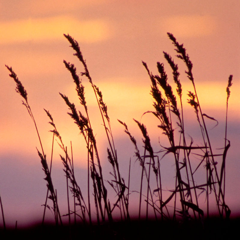 NWT Cley - Coastwise Creative Competition | March to May | Cley Marshes visitor centre