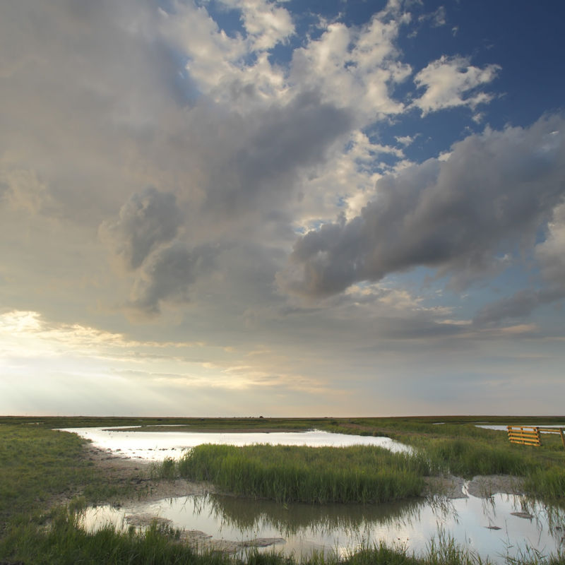 NWT Cley - Creating a Scene, Workshop with Sally Holman | October | Cley Marshes visitor centre