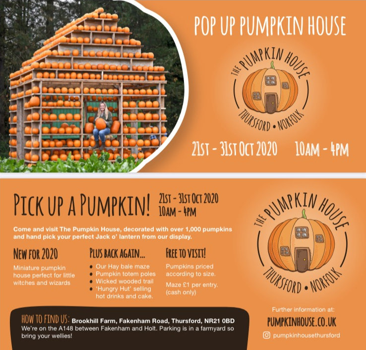The Pumpkin House, Brookhill Farm, Fakenham Road, Thursford , Norfolk, NR21 0BD | Come and choose your pumpkin from the Pumpkin House shelves. Decorated with over 1,000 pumpkins you are sure to find your perfect Jack O Lantern. | Pumpkins Halloween half term