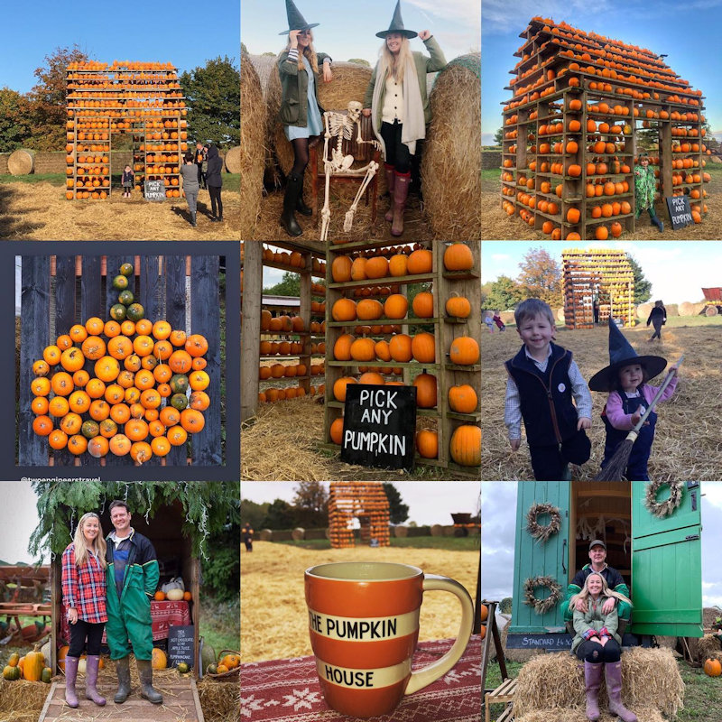 The Pumpkin House, Brookhill Farm, Fakenham Road, Thursford , Norfolk, NR21 0BD | Come and choose your pumpkin from the Pumpkin House shelves. Decorated with over 1,000 pumpkins you are sure to find your perfect Jack O Lantern. | Pumpkins Halloween half term