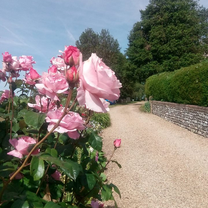 Ringstead Open Gardens, Ringstead, North Norfolk Coast | RINGSTEAD OPEN GARDENS - A wonderful day out for lunch, tea and garden inspiration! | gardens, lunch, event, outdoors, plants, tombola, teas, cakes, stalls, walks, gardening, boules