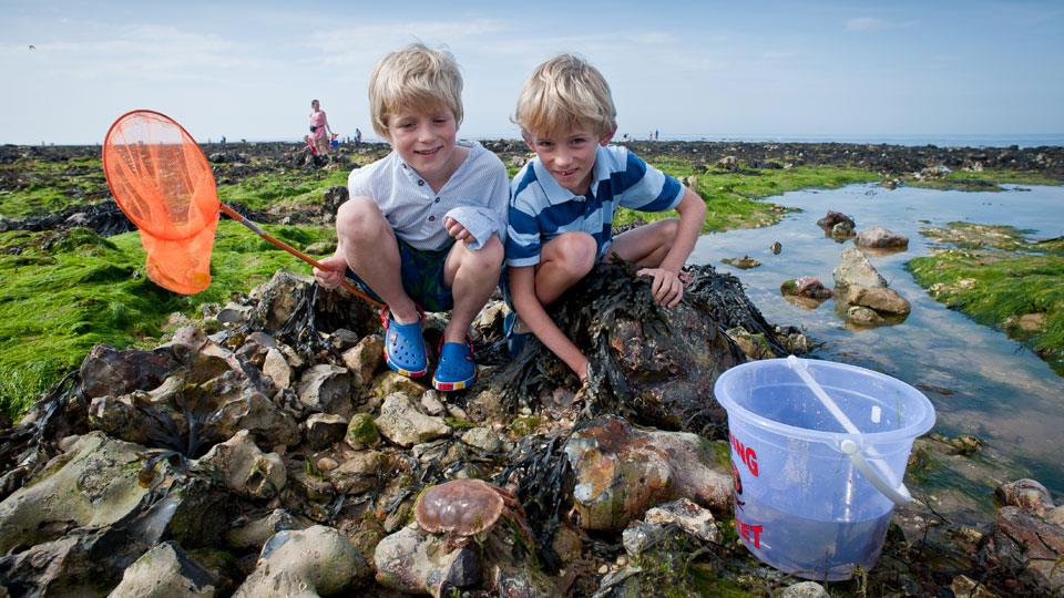 Rock Pool Rummaging, Meet at Seaview Beach Caf�, Water Lane, West Runton, North Norfolk Coast, NR27 9QP | Once again we are rummaging in rockpools in search of life. Come along with sturdy shoes and keen eyes and help us carefully investigate the secrets of the seashore. | norfolk, north, coast, wildlife, trust