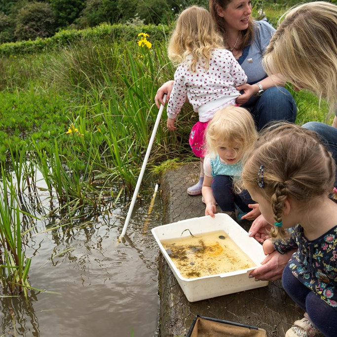 Self-led Pond Dipping, RSPB Titchwell Marsh, Main Rd, Titchwell, King's Lynn PE31 8BB | Discover the quick, quirky and quizzical creatures that live in the depths of our ponds. This is the perfect activity for families to experience the wonders of nature together in this self-led session. | rspb, pond, dipping, self, led, marsh, reserve
