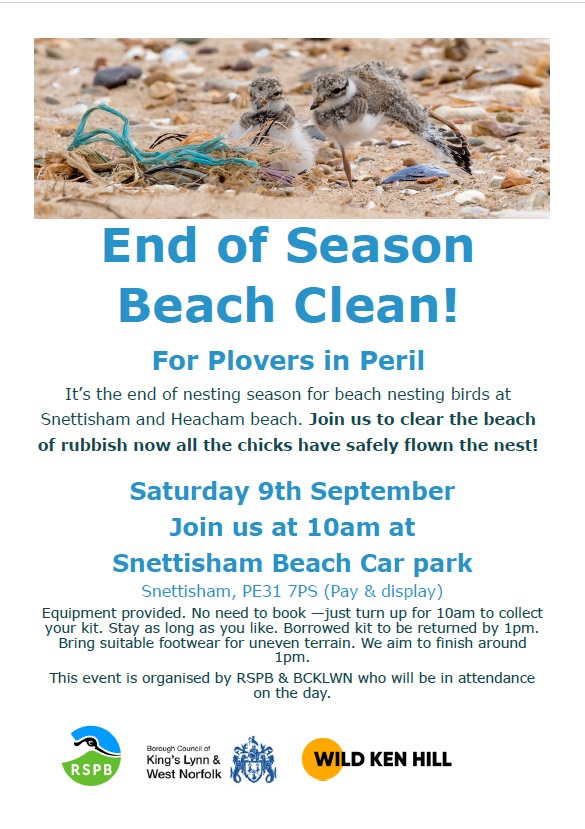 Snettisham End of Season Beach Clean, Snettisham Beach, Snettisham, Norfolk, PE31 7PS | It's the end of nesting season for beach nesting birds at Snettisham and Heacham beach. Join us to clear the beach of rubbish now all the chicks have safely flown the nest! | beach, clean, Snettisham, Norfolk, coast, west, 