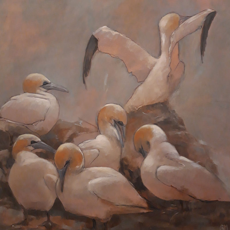 Sue Monteath - All About Birds & North Norfolk Landscapes | March | Cley Marshes Visitor Centre