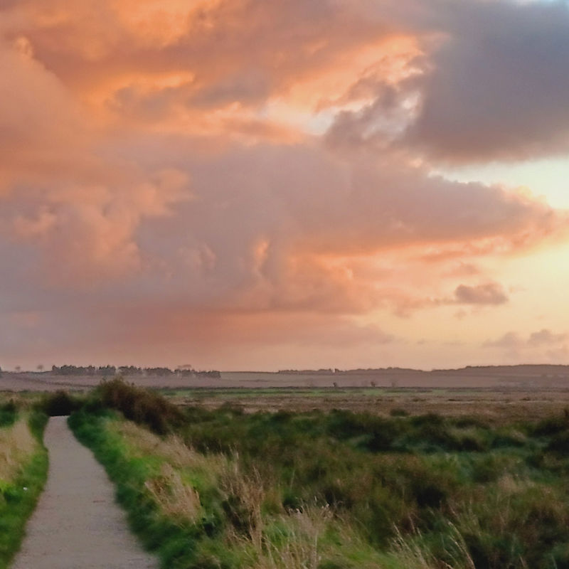 Sunrise Walk and Breakfast | April | RSPB Titchwell Marsh Nature Reserve