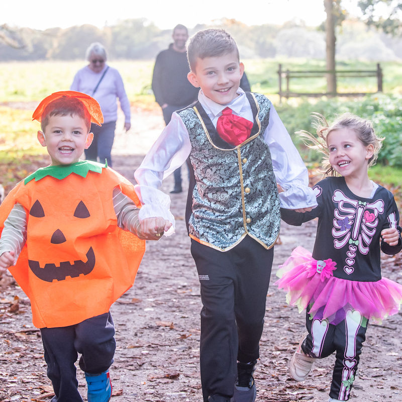 The Halloween Garden | October | Holkham Walled Garden