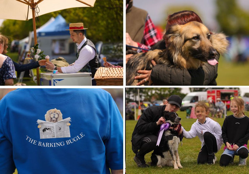 The Hunstanton Fun Dog Show , Glebe House School, Cromer Road, Hunstanton, Norfolk, PE36 6HW | Fun Dog Show  | Fun Dog Show 