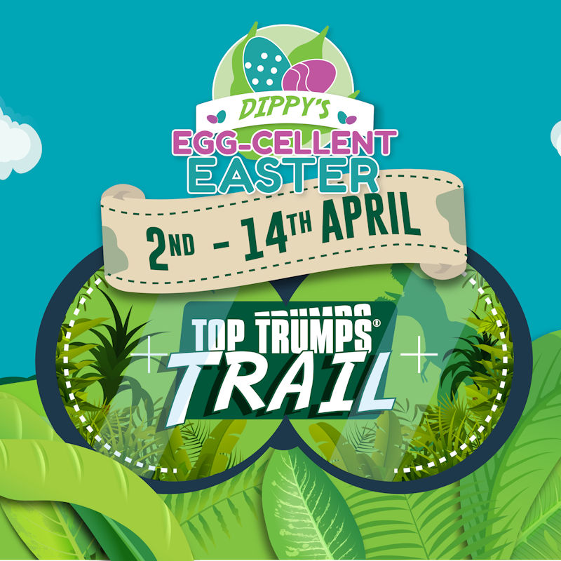 Top Trump Trail, ROARR!, ROARR!, Lenwade, Norfolk, NG9 5JE | From the 2nd -14th April, giant ROARR! Top Trump cards will be hidden around the Park, featuring fun facts about ROARR! Find out who the Park’s Dino Hunter is related to and what Titan the T-Rex gets up to when the Park is closed. | Top Trumps, Easter Eggs, Easter Fun, Easter Activities, Days out with the Family, Days out with the Kids