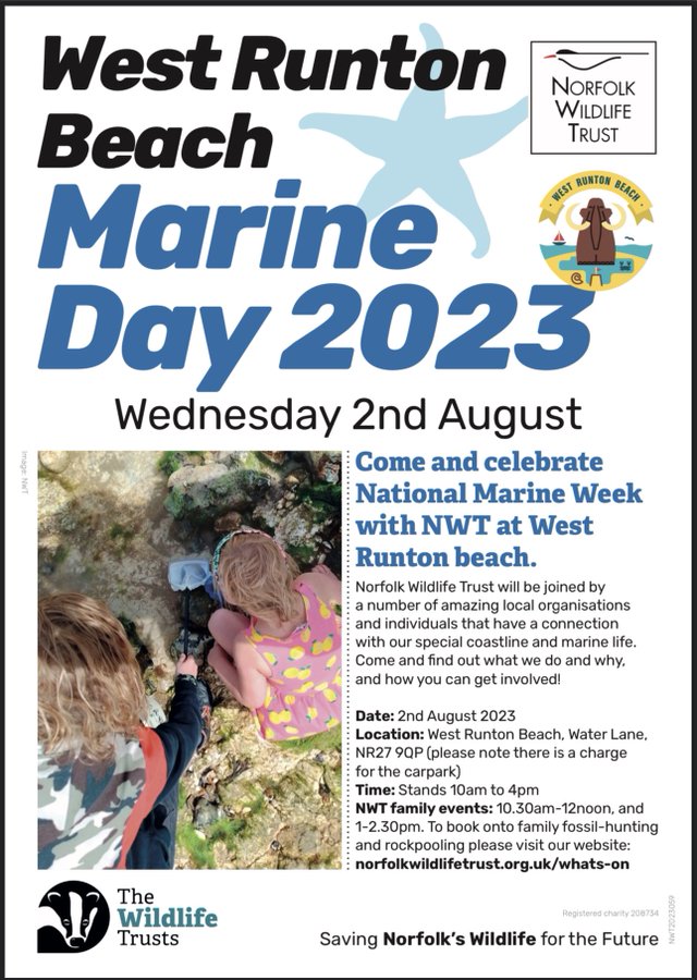 West Runton Beach Marine Day 2023, West Runton Beach, Water Lane, West Runton, Norfolk, NR27 9QP | Come and celebrate National Marine Week with Norfolk Wildlife Trust at West Runton Beach | wildlife, beach, marine, runton