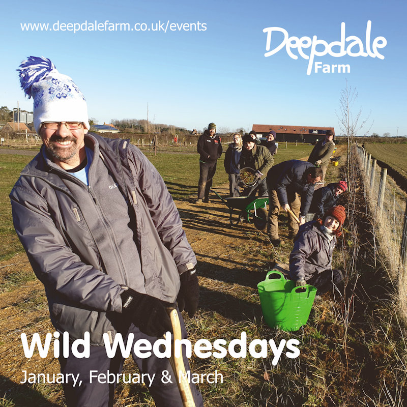 Wild Wednesday - Deepdale Conservation, Deepdale Farm, Burnham Deepdale, North Norfolk Coast, PE31 8DD | Join us on the farm. Spend time outdoors, get some exercise, meet people and make a difference for wildlife. | free, trees, conservation, planting, holt, north, norfolk