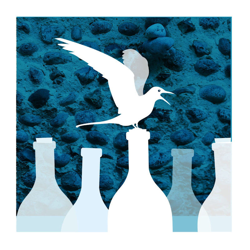 Wine and Wildlife - A Night of Discovery, NWT Cley Marshes, Coast Rd, Cley next the Sea, Norfolk, NR25 7SA | Join Master of Wine Mark Lynton of Lynton Wines and ornithologist Richard Porter for an evening of wine tasting and nibbles. | wine, birds, ornithology, wine, tasting 