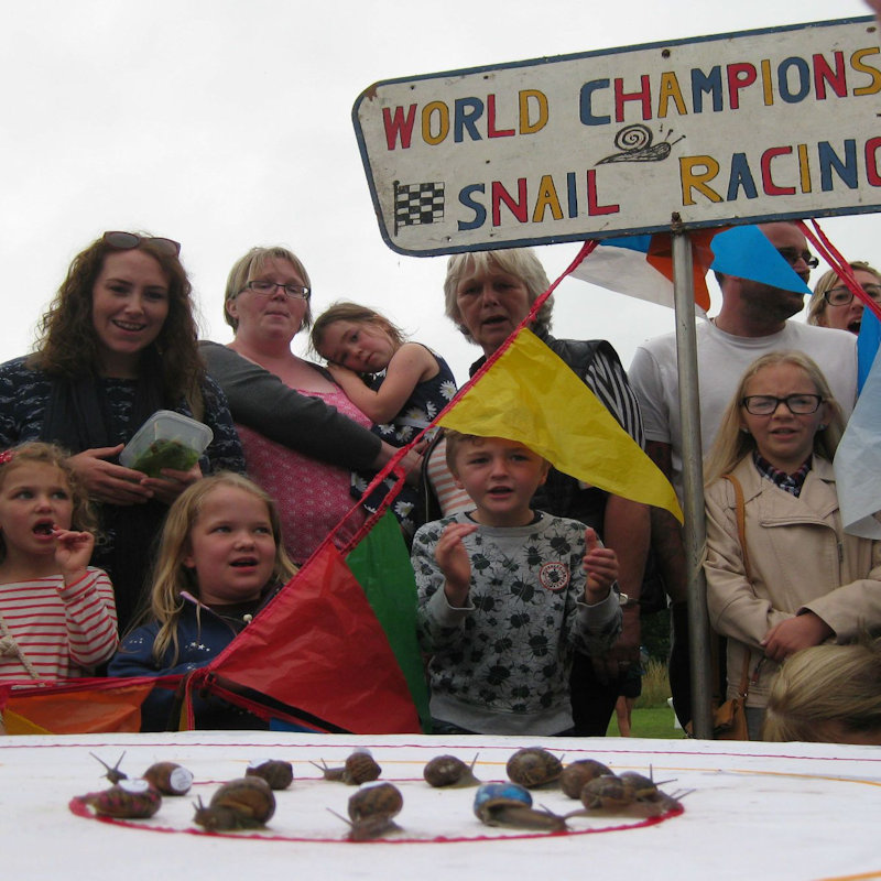 World Snail Racing Championships, Congham, Norfolk | More than 200 snails slug it out every year in the World Snail Racing Championships held at Congham, in Norfolk.  Why not come along as a spectator or even as a trainer and enter your own snail! | world, snail, racing, championships, congham, norfolk, fete, fundraising