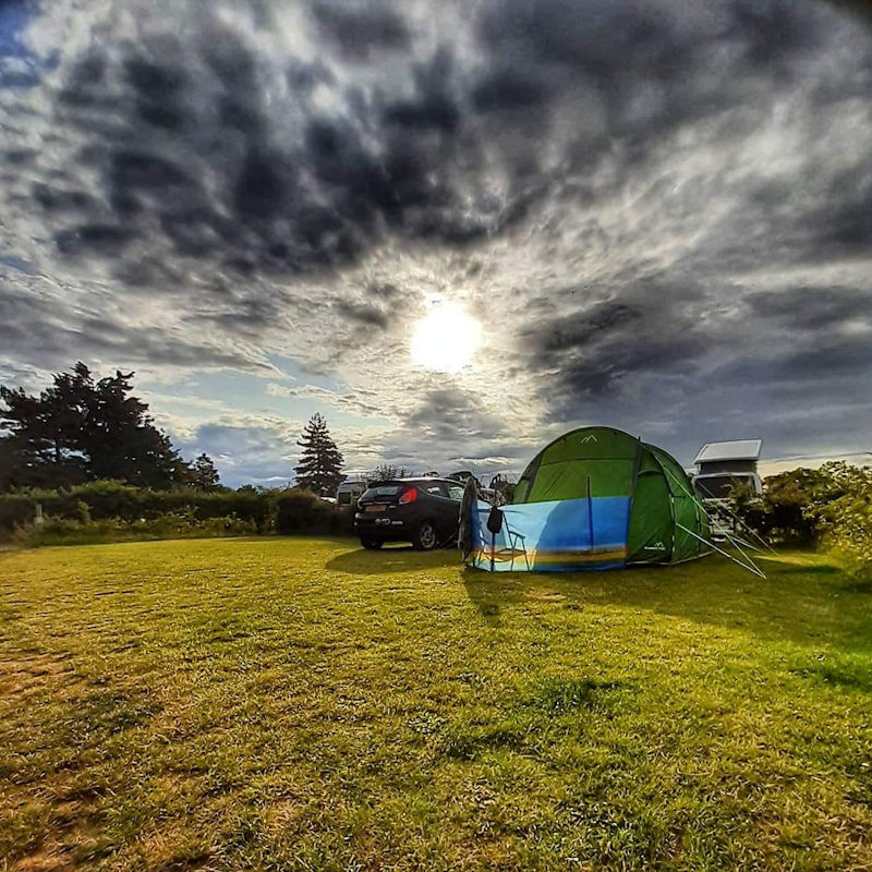 Standard Camping Pitch