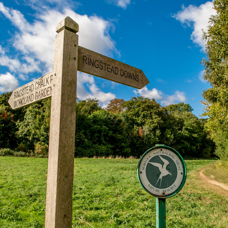 Peddars Way | North Norfolk Walking, Rambling & Hiking
