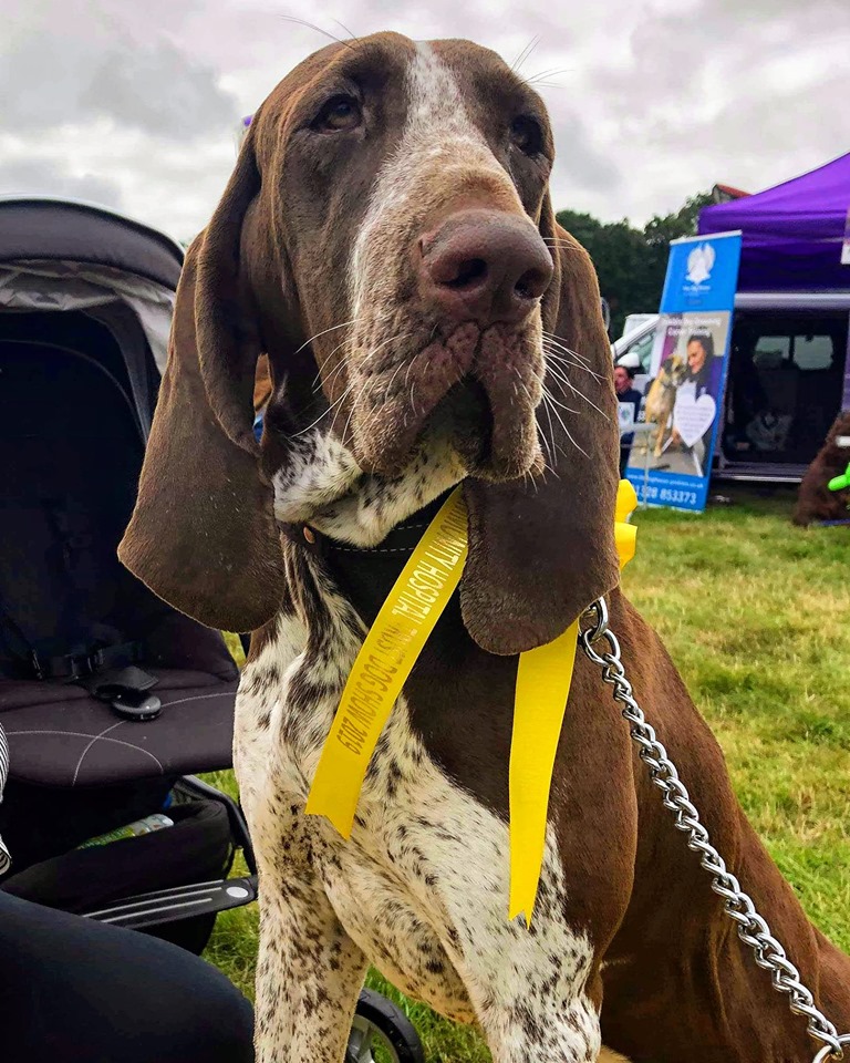 Dog Show & Family Fun Day, Holkham Estate, East Park , WELLS-NEXT-THE-SEA, Norfolk, NR23 1SF | In aid of Wells Community Hospital Trust, fabulous fun filled day for all the family  two and four-legged | Dog Show, Family Fun Day, Outddors