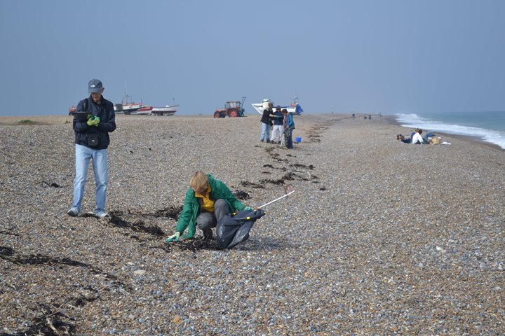 Cley Beach Clean, Norfolk Wildlife Trust Cley Marshes, Coast Road, Cley, Norfolk, NR25 7SA | Help us to clean up our shore to benefit coastal wildlife. | Wildlife, marine, conservation