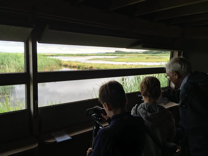 Capturing Cley - Family Event, Norfolk Wildlife Trust Cley Marshes, Coast Road. Venue is Salthouse Beach road, Cley, Norfolk, NR25 7SA | Explore and film exciting coastal wildlife at Cley using handheld cameras. | Family, wildlife reserve, explore, discover