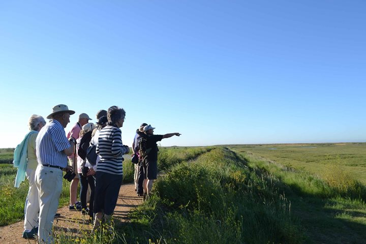 Cley Calling - Circuit of Cley, Norfolk Wildlife Trust Cley Marshes, Coast Road, Cley, Norfolk, NR25 7SA | A guided circuit walk around the reserve and along the shingle ridge bank. | guided walk, family friendly, nature, birds