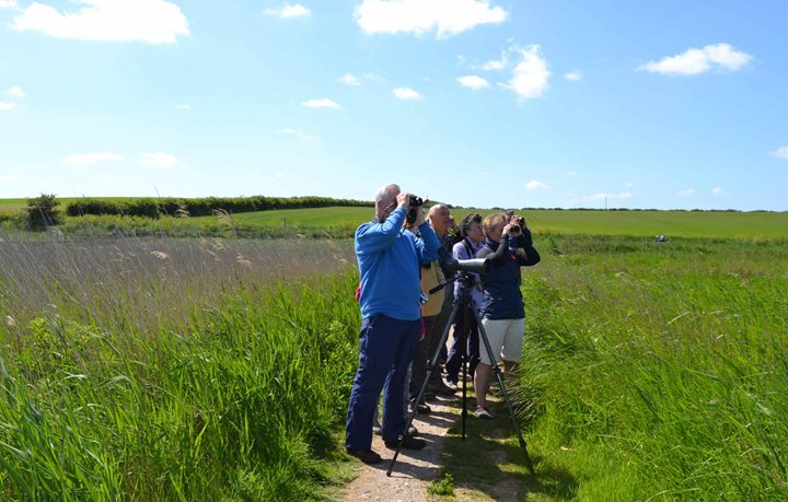 Circuit of Cley, Norfolk Wildlife Trust Cley Marshes, Coast Road, Cley, Norfolk, NR25 7SA | A guided circuit walk around the reserve and along the shingle ridg | guided walk, family friendly, nature